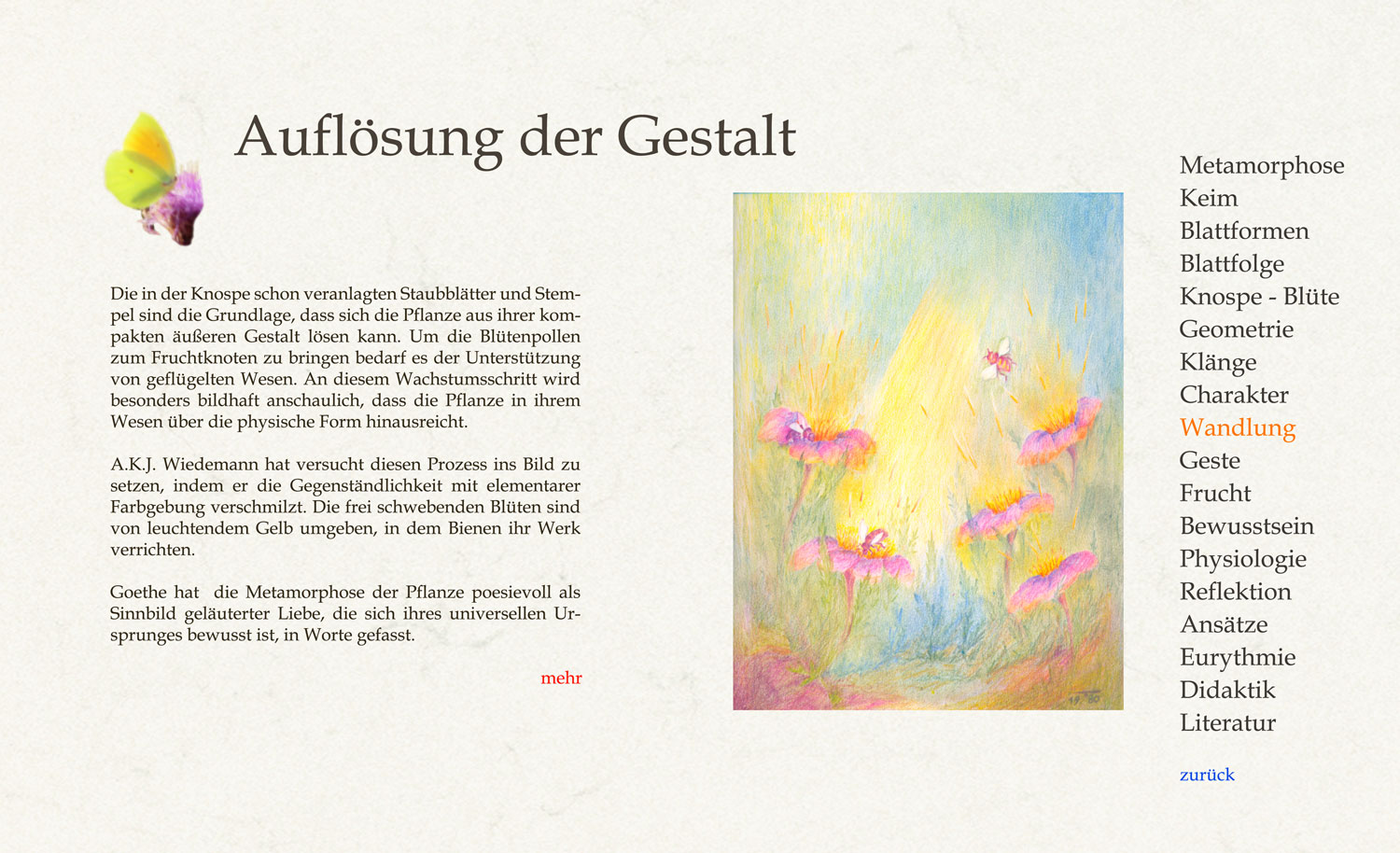 Die Einsicht der Wandelbarkeit der seelischen Umtriebigkeit, die nur Erfüllung der vegetativen Bedürftigkeit im Sinn hat, in menschlichere Eigenschaften, formt das Sinnbild, das uns die Pflanze vorlebt, von höherer Warte. Eine seelische Gegebenheit im Gemüt ist Ausgangspunkt für das Erkennen des Sinnbildes.