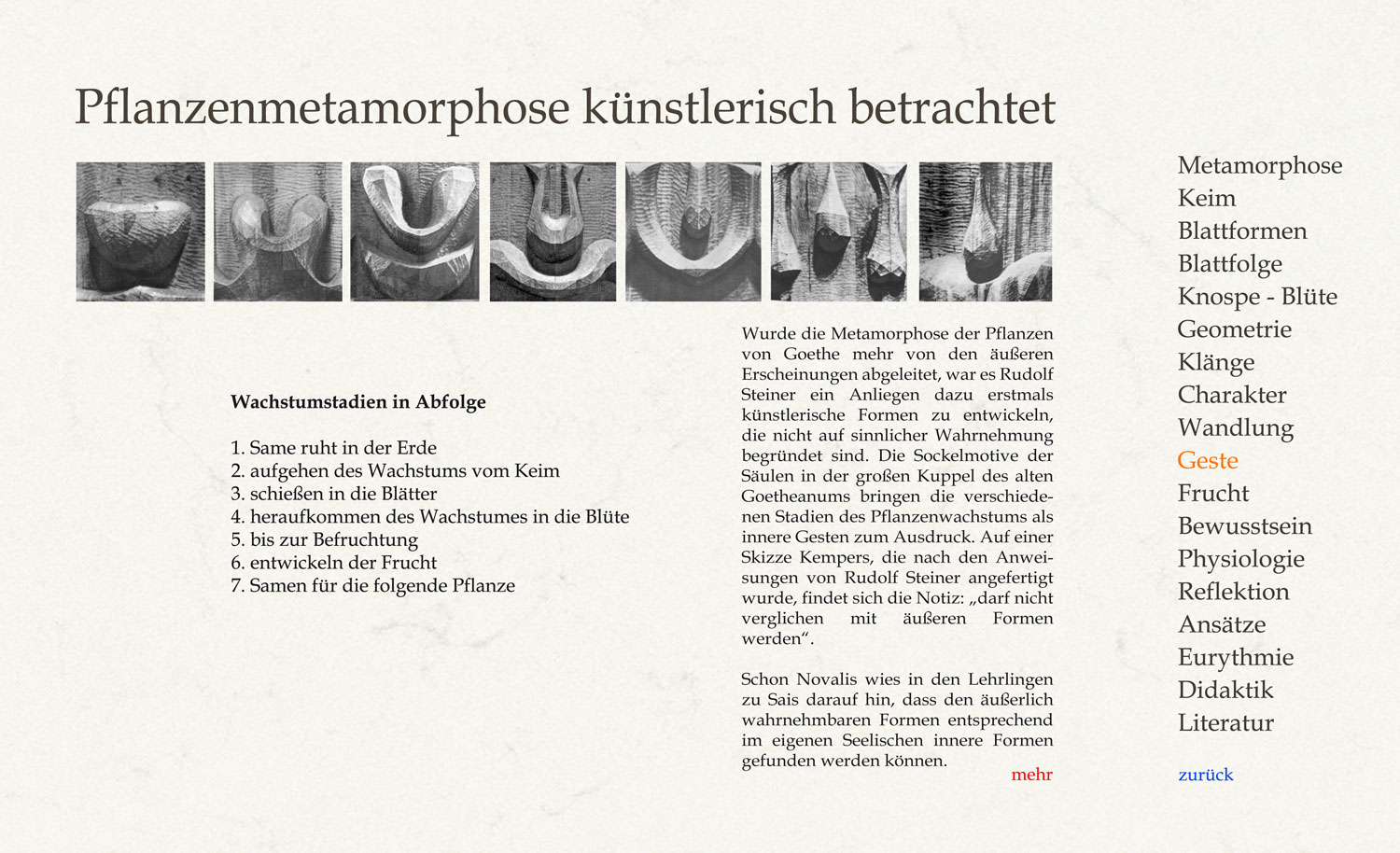 Wurde die Metamorphose der Pflanzen von Goethe mehr von den äußeren Erscheinungen abgeleitet, war es Rudolf Steiner ein Anliegen dazu erstmals künstlerische Formen zu entwickeln, die nicht auf sinnlicher Wahrnehmung begründet sind.