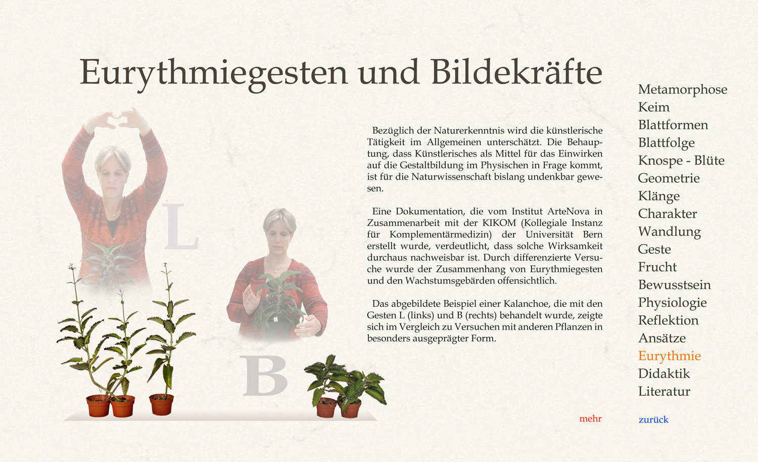Was geschieht, wenn eine Pflanze über vier Monate wöchentlich zehn Minuten einer eurythmischen Lautgebärde ausgesetzt wird?